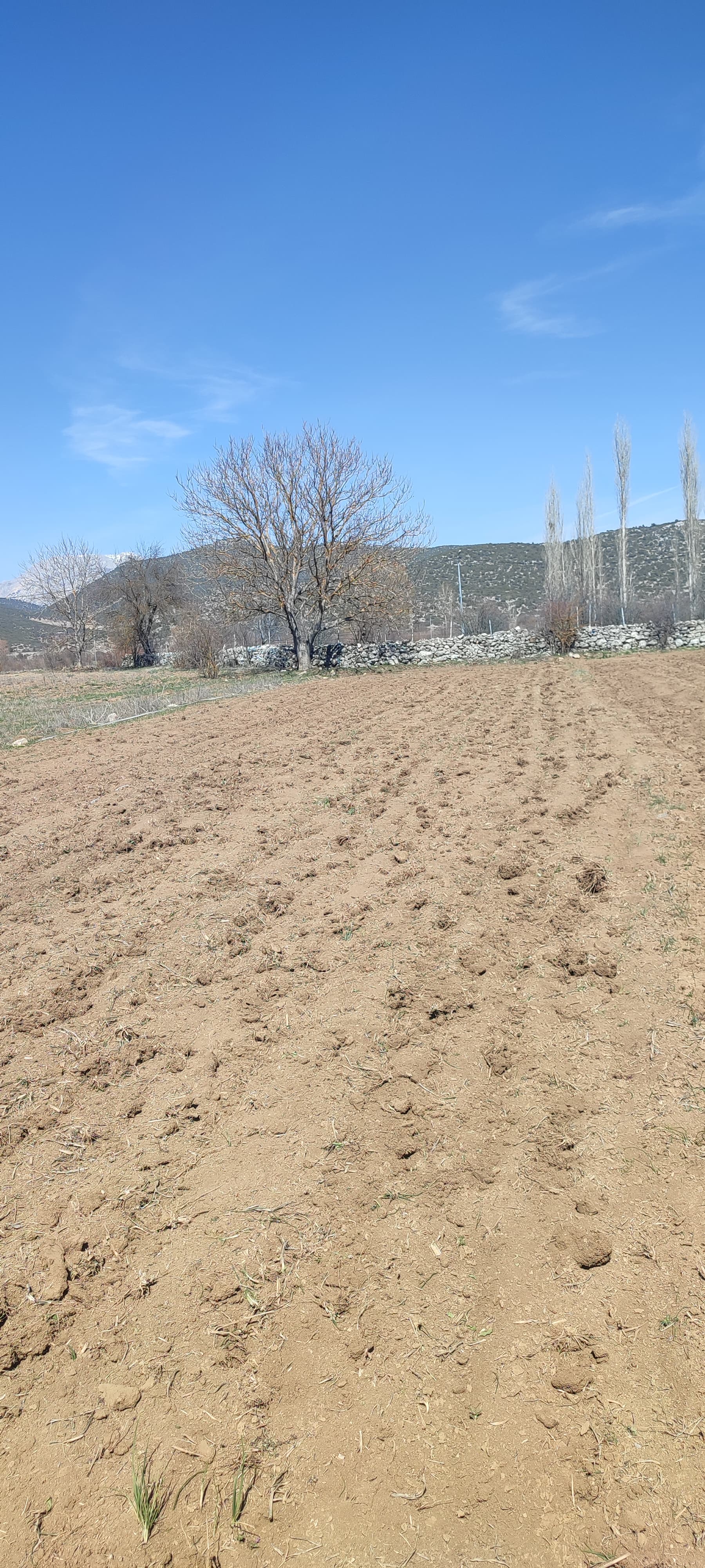 Burdur Ağlasun Hisarköy Muhteşem Konumda Elektrik Yol Su Sorunu Olmaya - BURDUR AĞLASUN fotoğraf 5